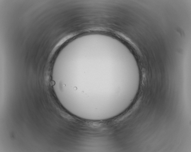 X0000115591266200911100924