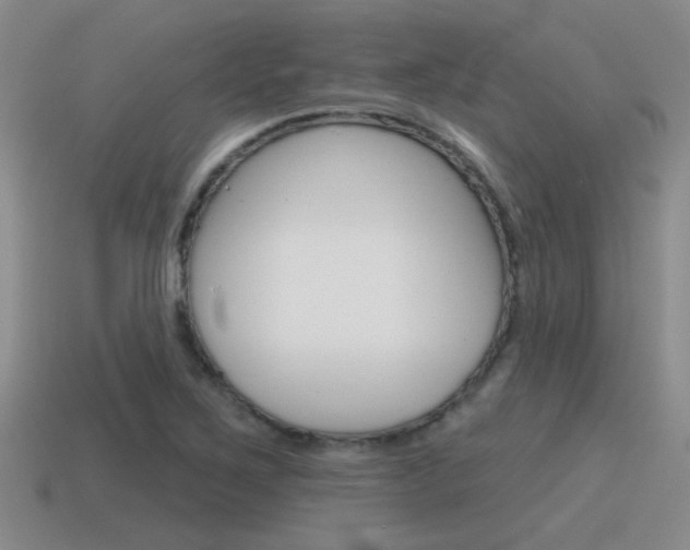 X0000115591267200911100924
