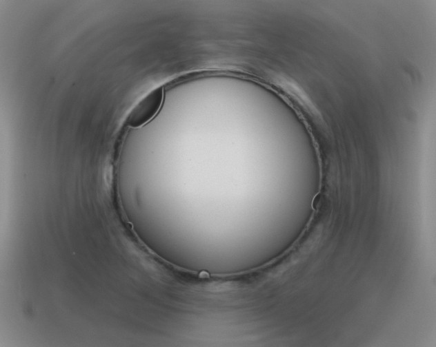 X0000115591268200911100924