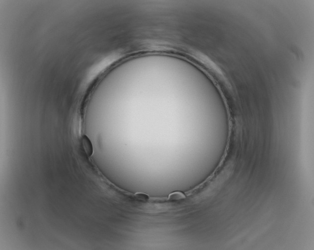 X0000115591269200911100924