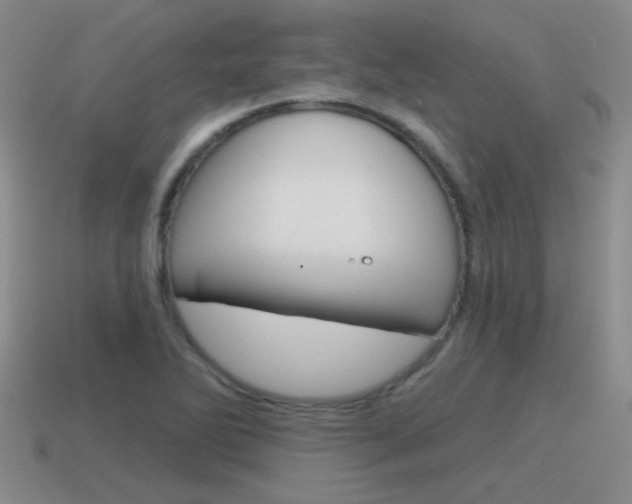 X0000115591270200911100924