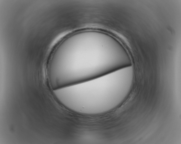 X0000115591271200911100924