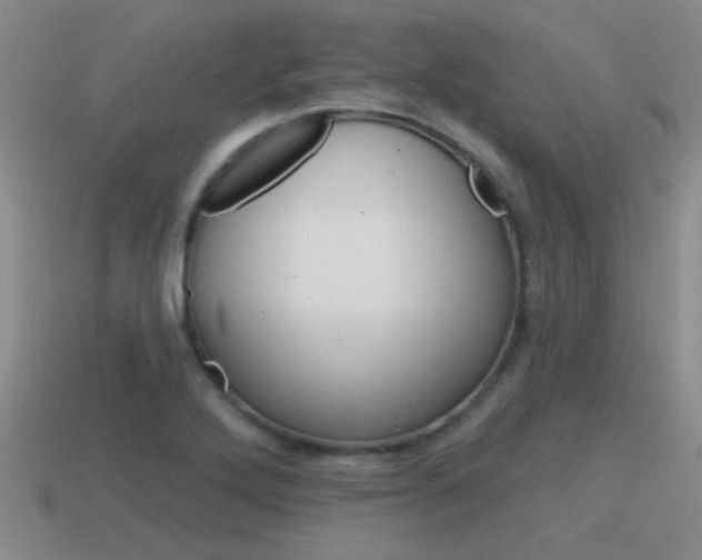 X0000115591272200911100924