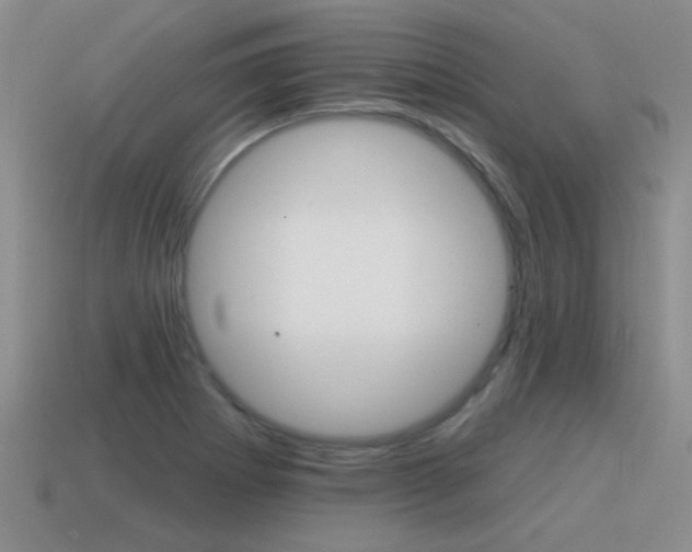 X0000115591273200911100924