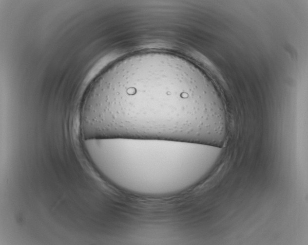 X0000115591274200911100924
