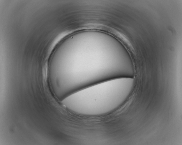 X0000115591275200911100923
