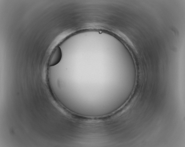 X0000115591277200911100923