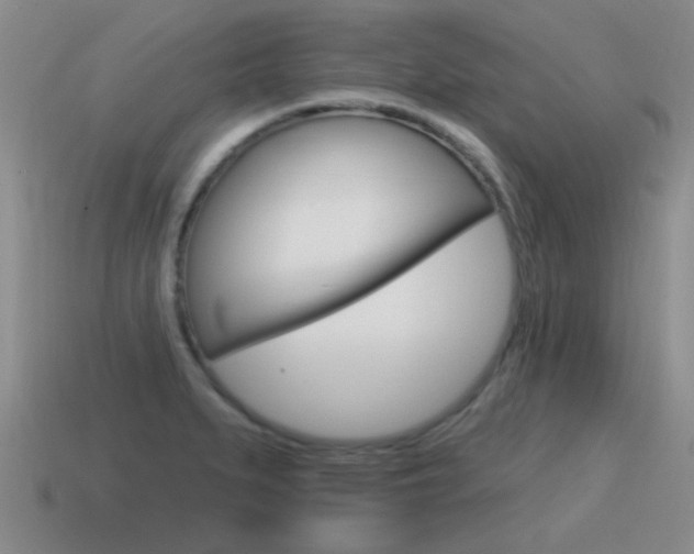 X0000115591279200911100923
