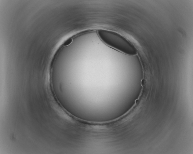X0000115591280200911100923