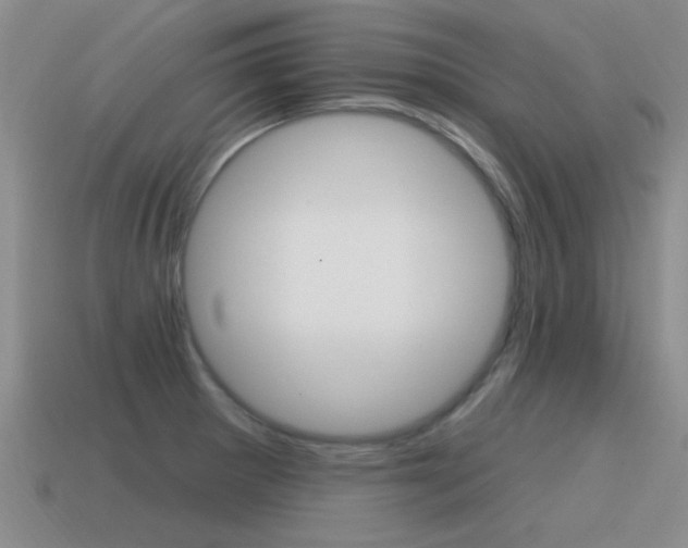X0000115591281200911100923