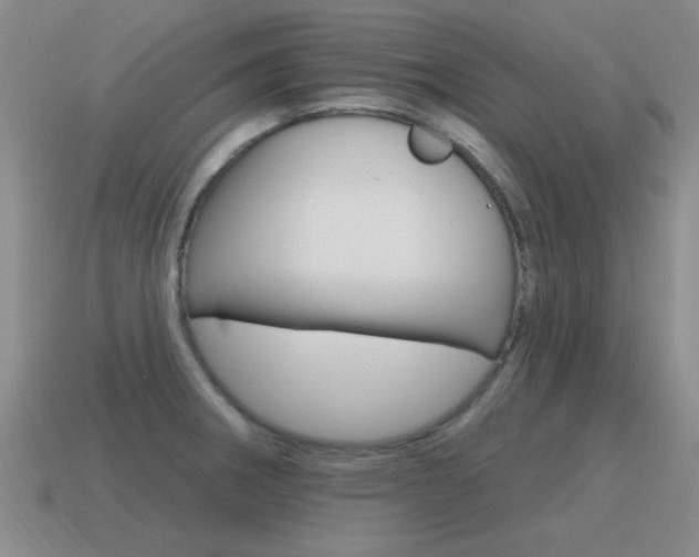 X0000115591282200911100923