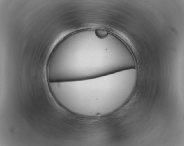 X0000115591283200911100923
