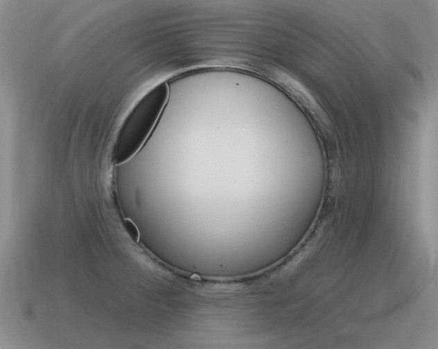 X0000115591284200911100923