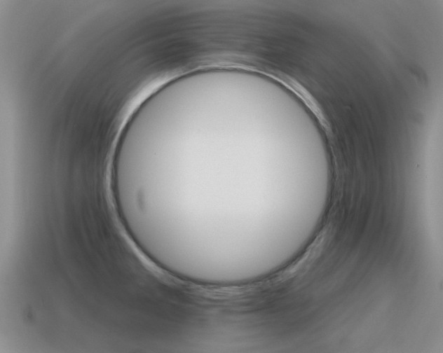 X0000115591285200911100923