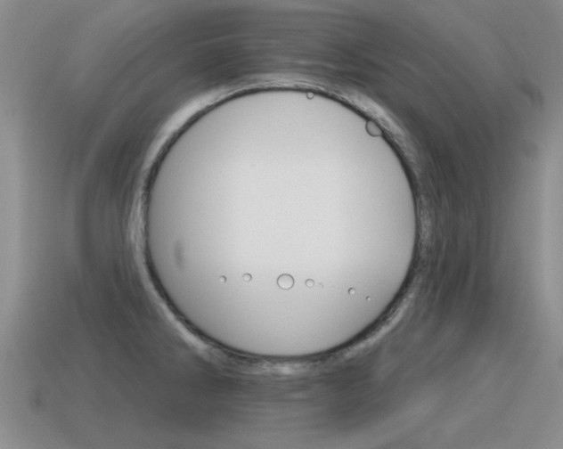 X0000115591286200911100923