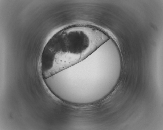 X0000115591287200911100923