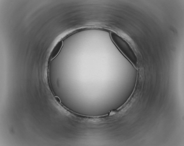 X0000115591288200911100923
