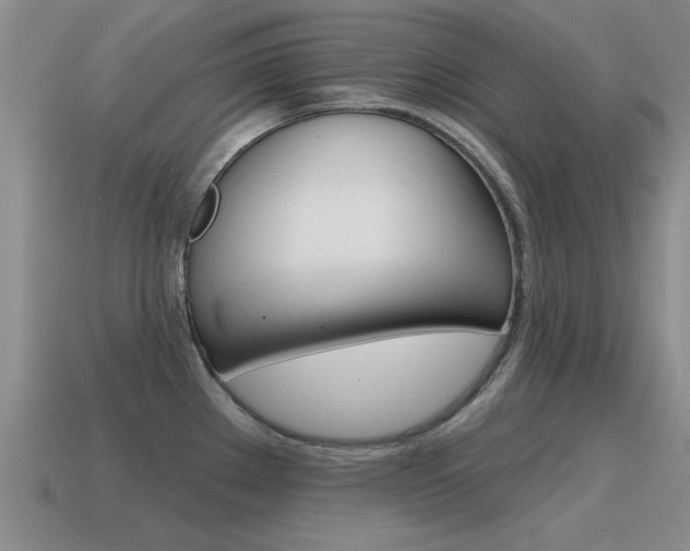 X0000115591289200911100923