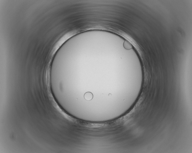 X0000115591290200911100923