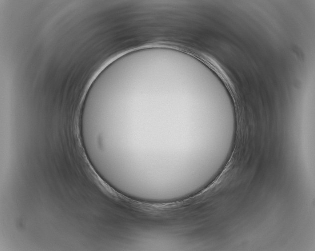 X0000115591292200911100923