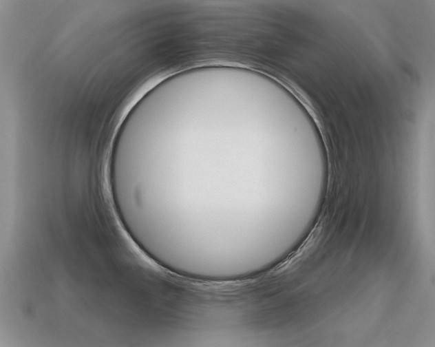 X0000115591293200911100923