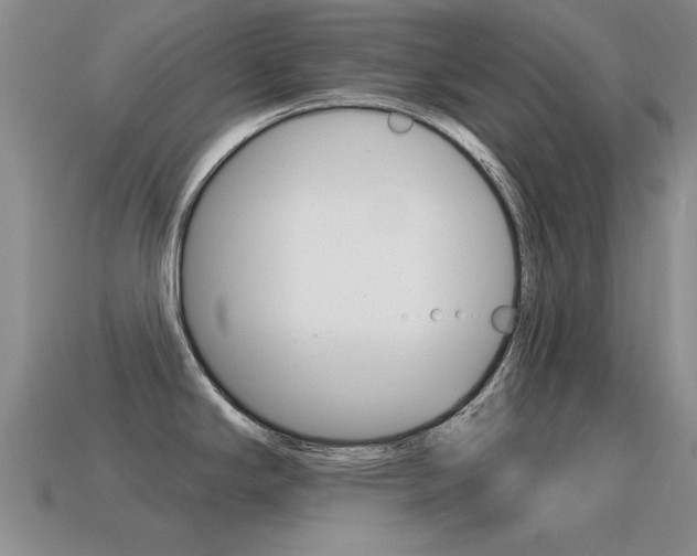 X0000115591294200911100923