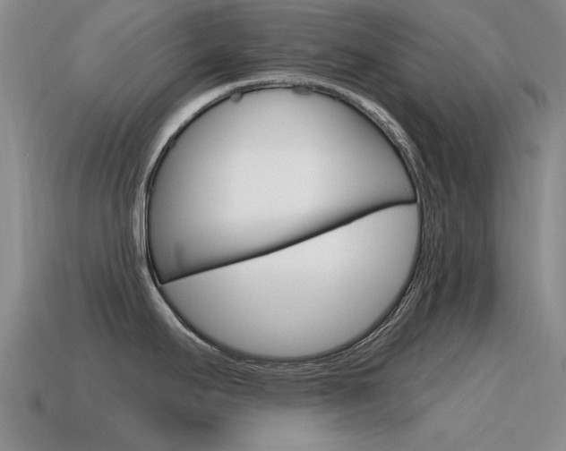 X0000115591295200911100923
