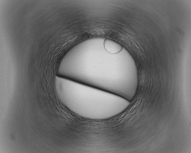 X0000115591297200911100923