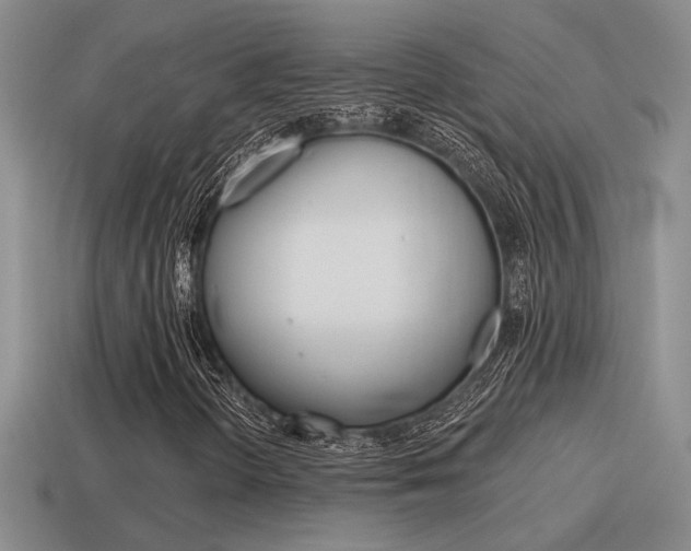 X0000115591298200911100923