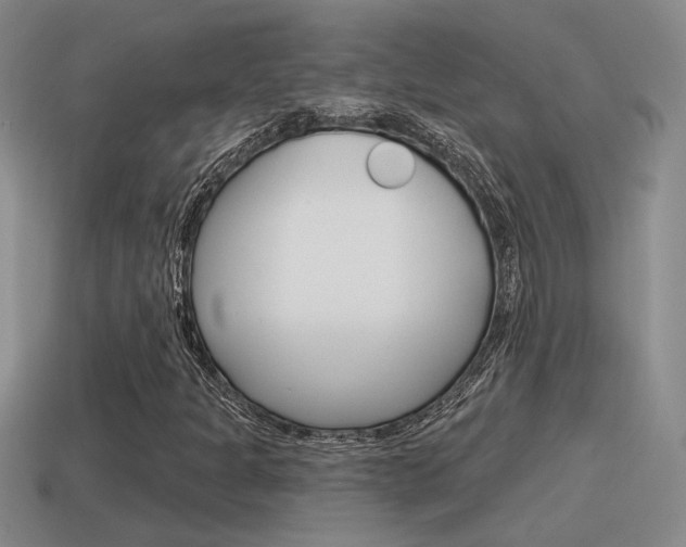 X0000115591301200911100923