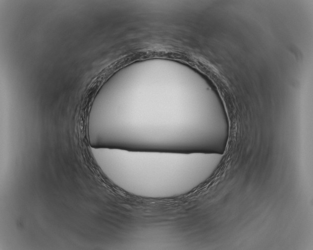 X0000115591303200911100923