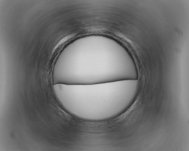 X0000115591306200911100923