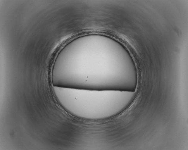 X0000115591307200911100923
