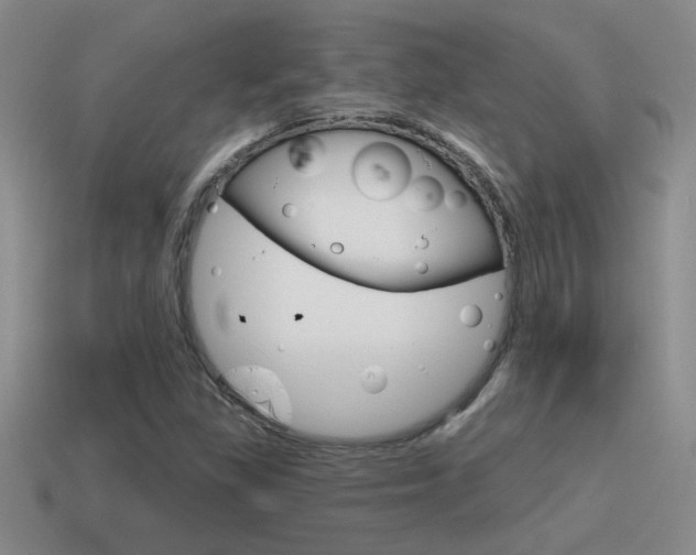 X0000115591309200911100923