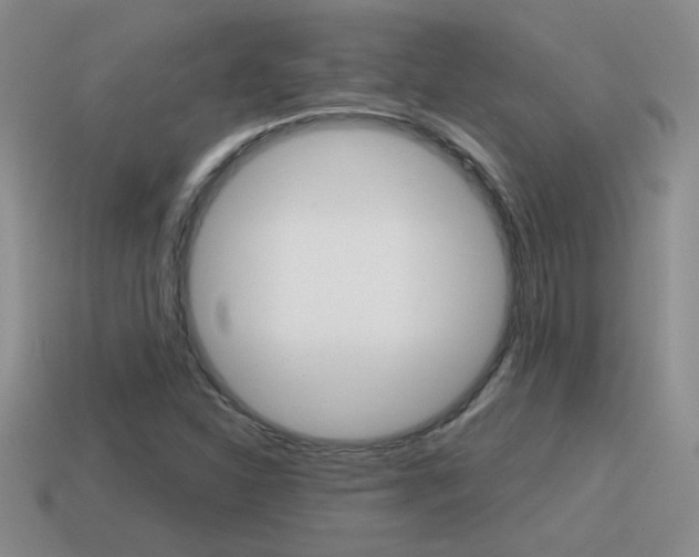 X0000115591310200911100923