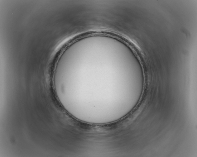 X0000115591311200911100923