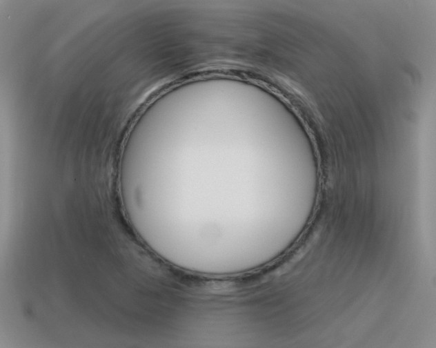 X0000115591313200911100923