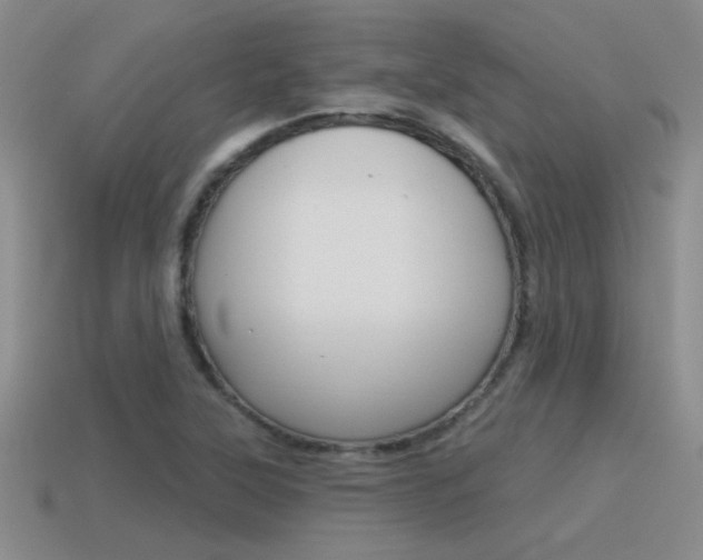 X0000115591315200911100923