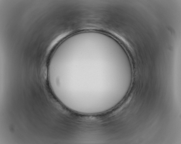 X0000115591317200911100923