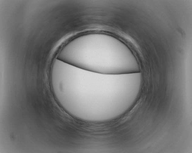 X0000115591318200911100923
