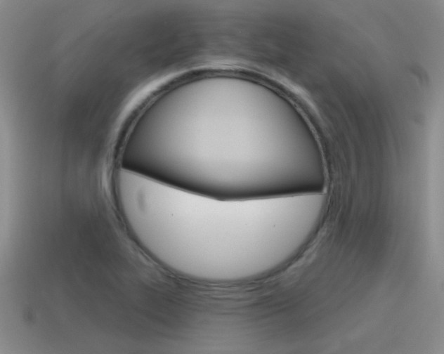 X0000115591319200911100923