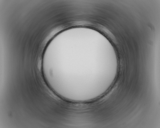 X0000115591322200911100923
