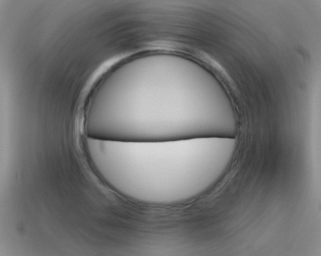 X0000115591323200911100923