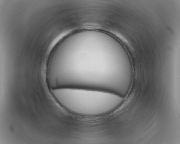 X0000115591325200911100923