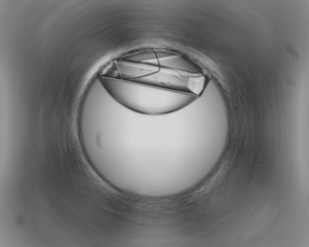 X0000115591326200911100923