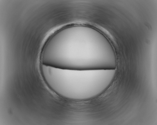 X0000115591327200911100923