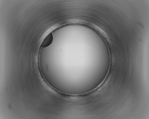 X0000115591330200911100923