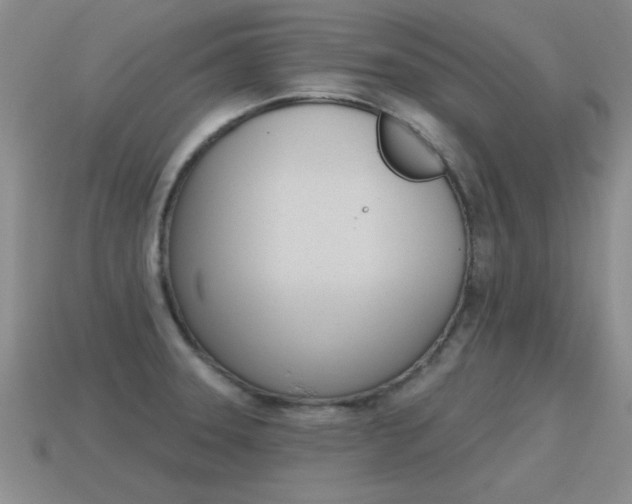 X0000115591331200911100923