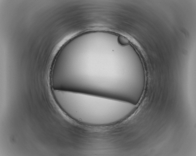 X0000115591333200911100923