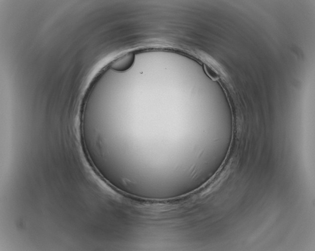 X0000115591334200911100923